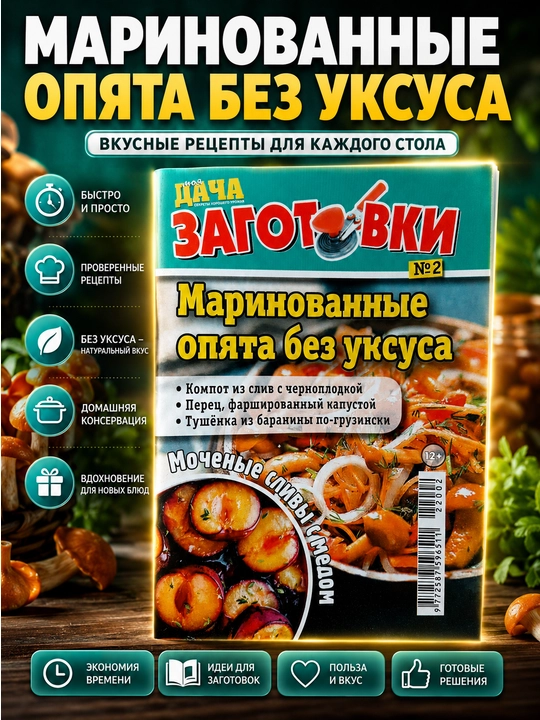 Rus tilidagi Zagotovkalar jurnali — uyda tayyorlanadigan mahsulotlar retseptlari - 