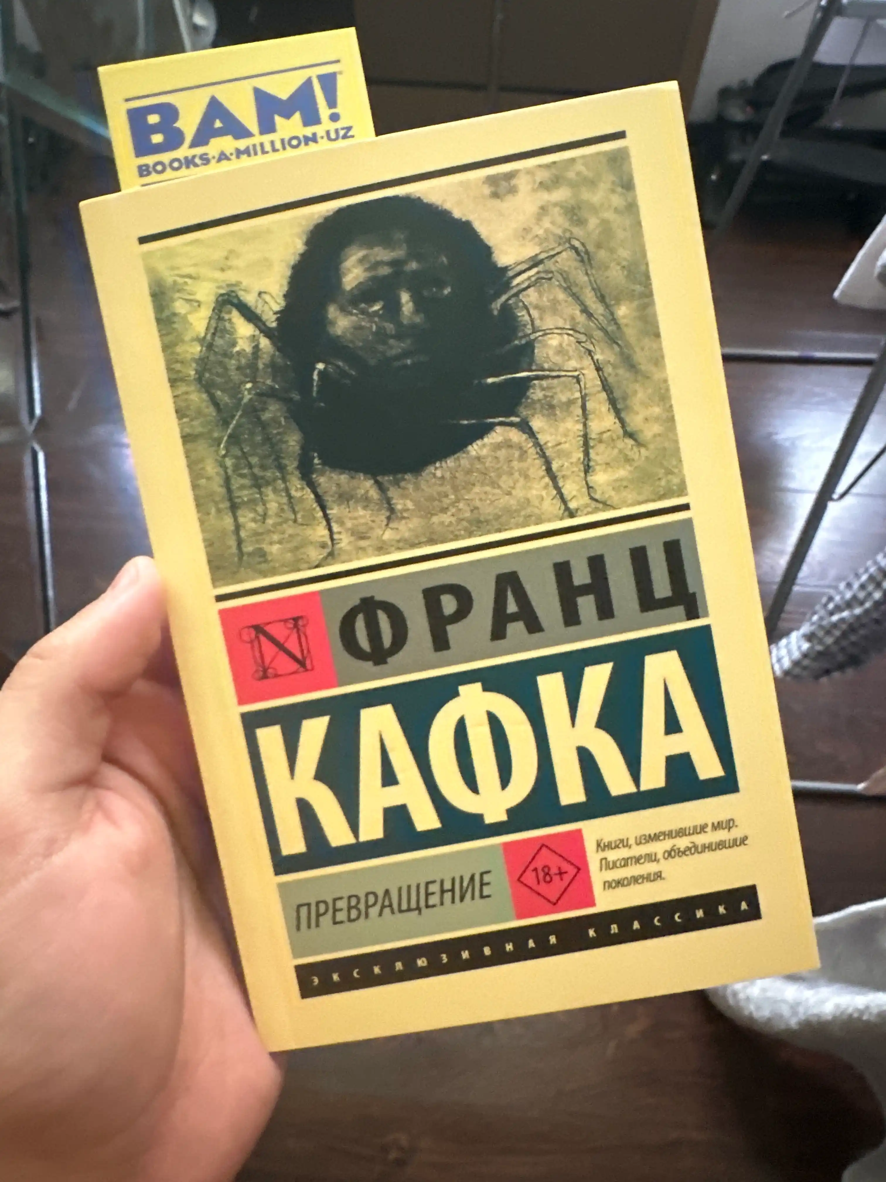 Превращение, Франц Кафка