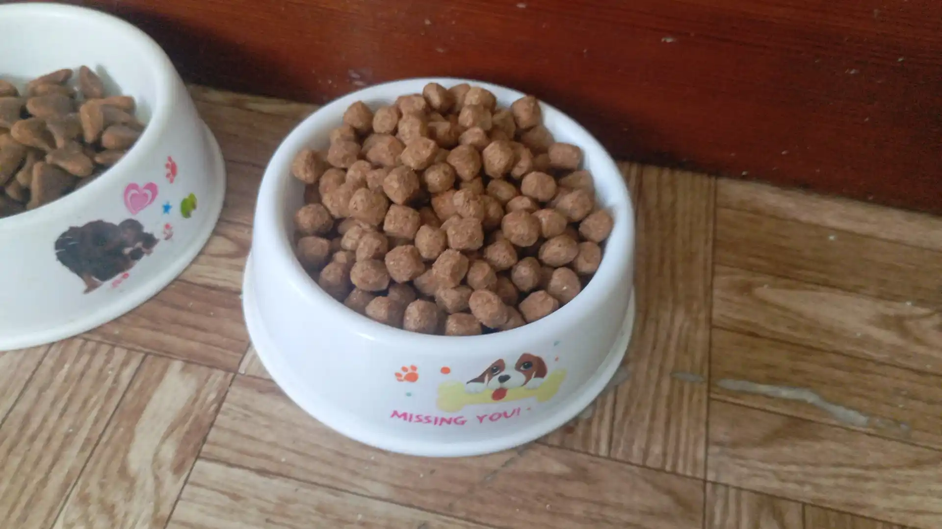 Сухой корм для собак Winny c говядиной, 2 кг, 10 кг