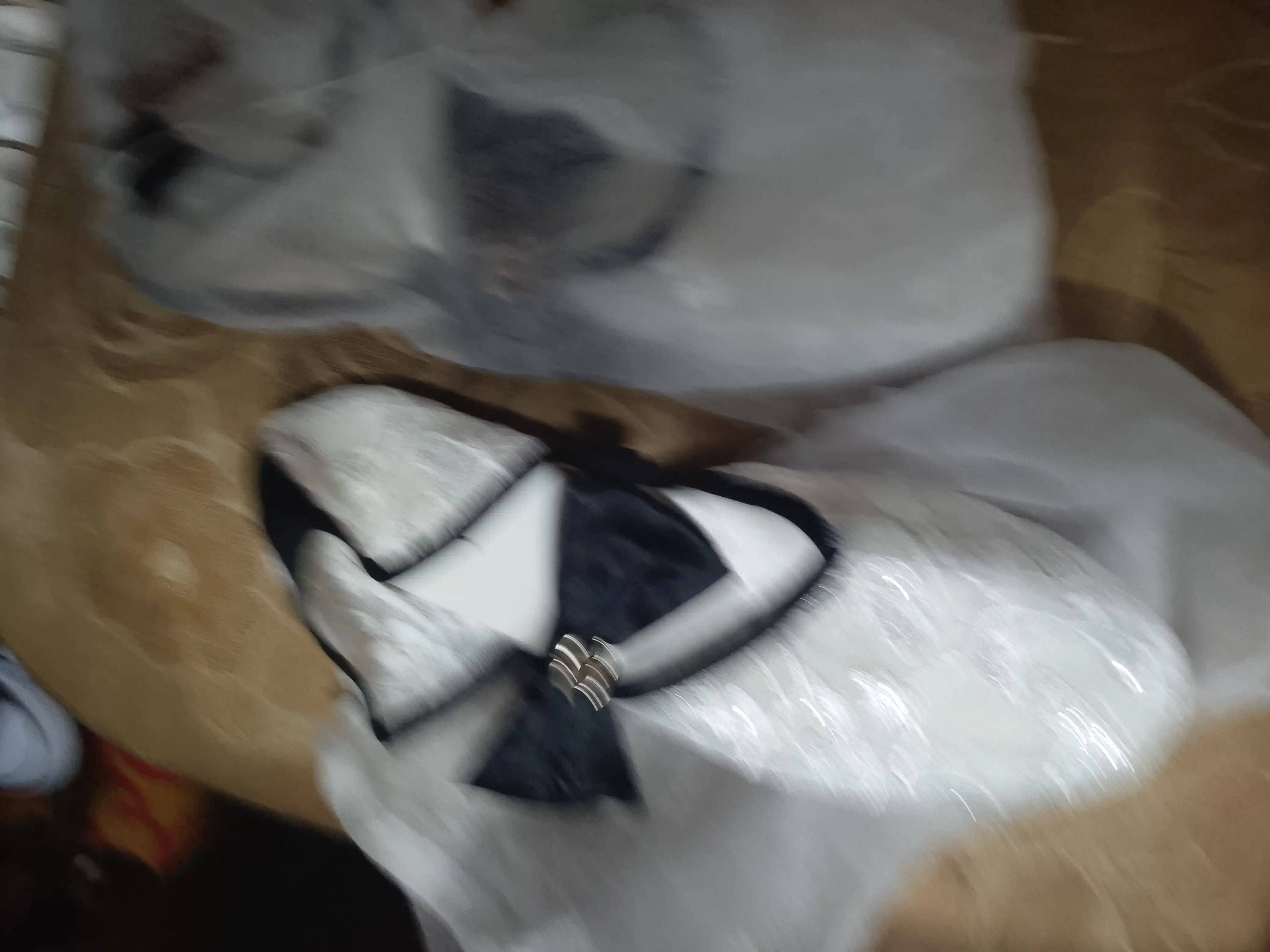 Женские и девичьи балетки Chanel, мягкие и лёгкие балетки, балетки для весны и лета