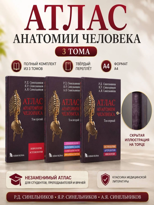 Атлас Анатомии Человека 3 Тома - 