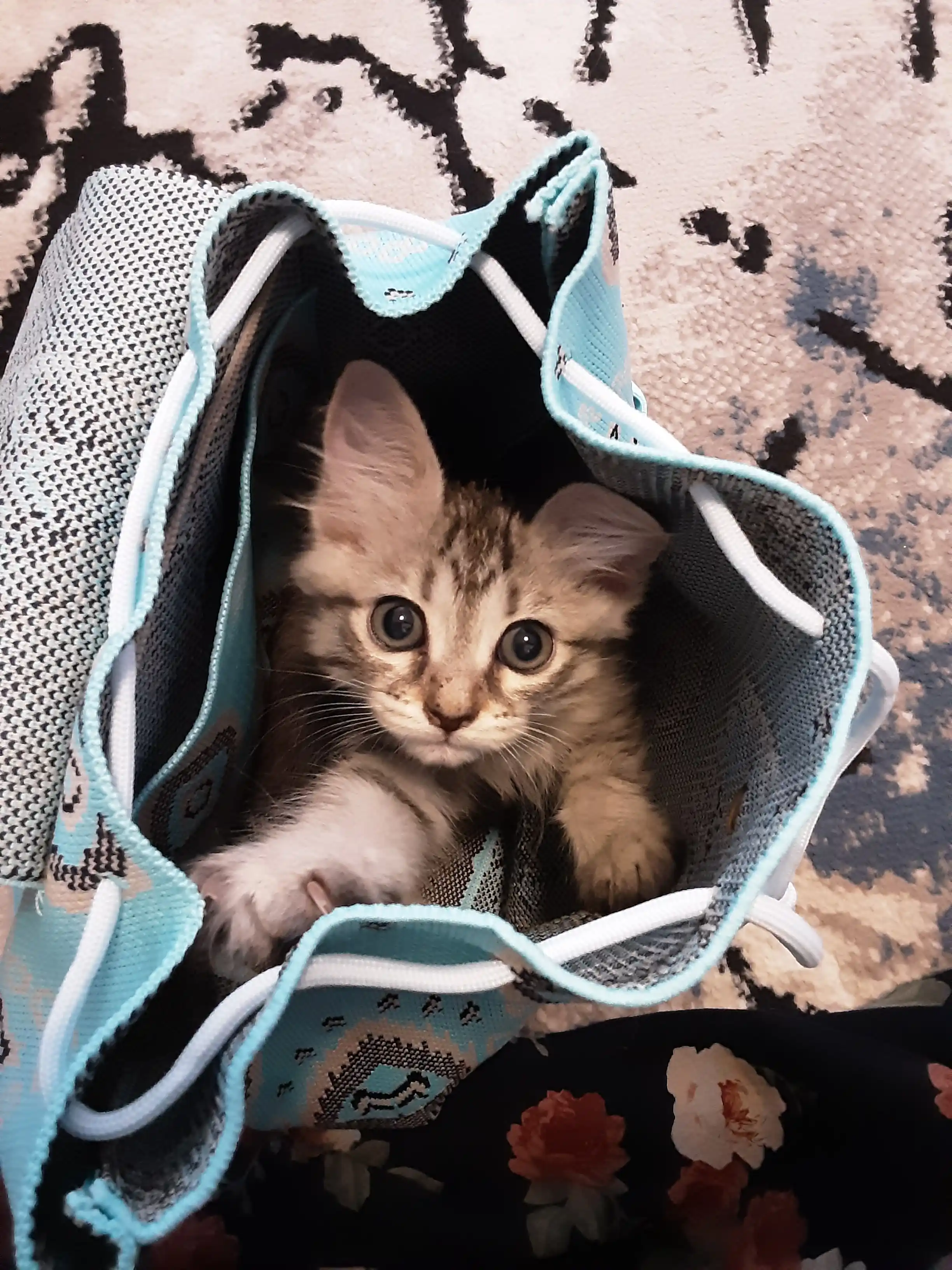 Ayollar ryukzagi, ayollar sumkasi, qizlar uchun ryukzak 27x29/29x29 sm