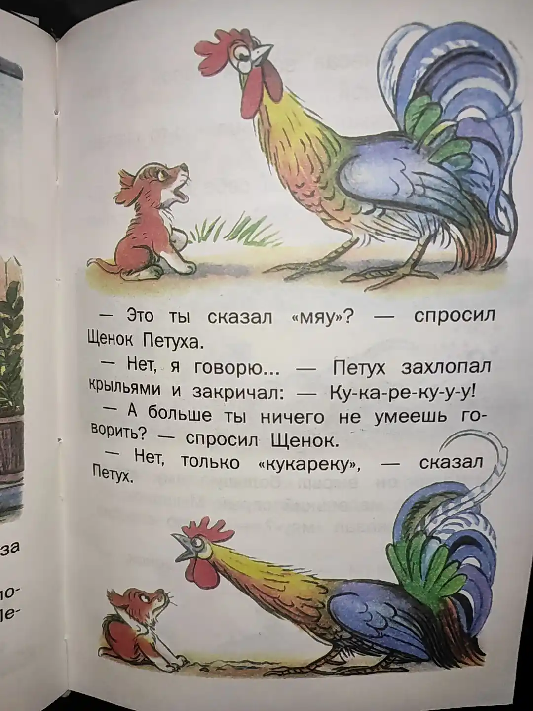 Skazki, Vladimir Suteyev