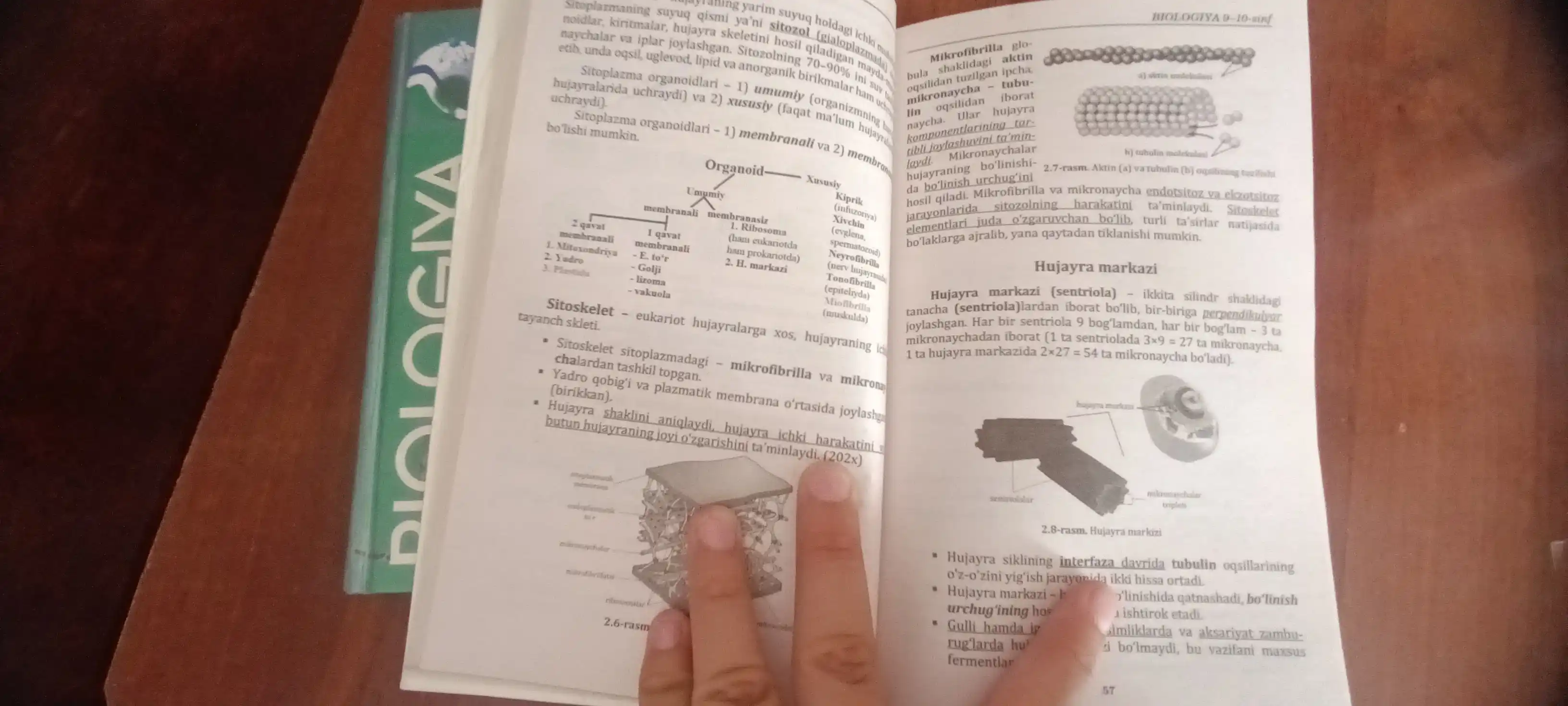 Биология 9-10 синф, Ахтамов Мирмухсин A5