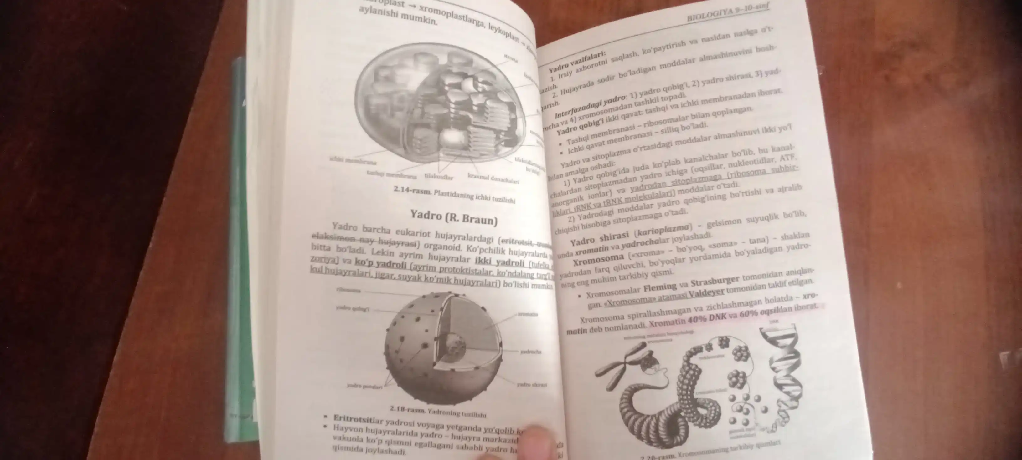 Биология 9-10 синф, Ахтамов Мирмухсин A5