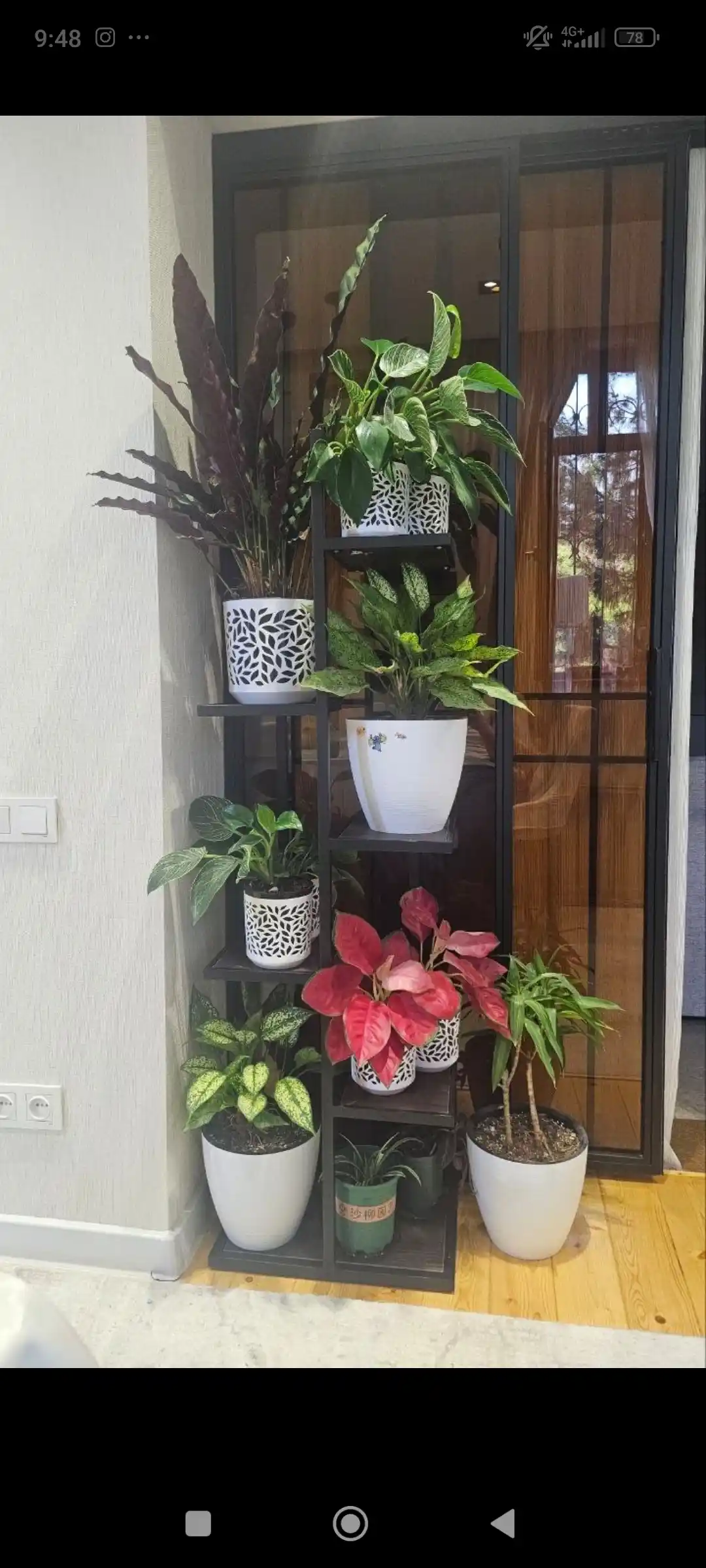Tokchali stellaj AIKO My-Fleur, gullar va dekor uchun taglik, tokcha, 45x30x150 sm