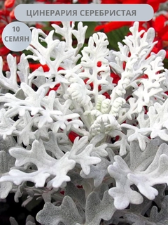 Серебряный