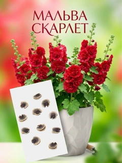 Красный