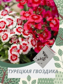 Разноцветный