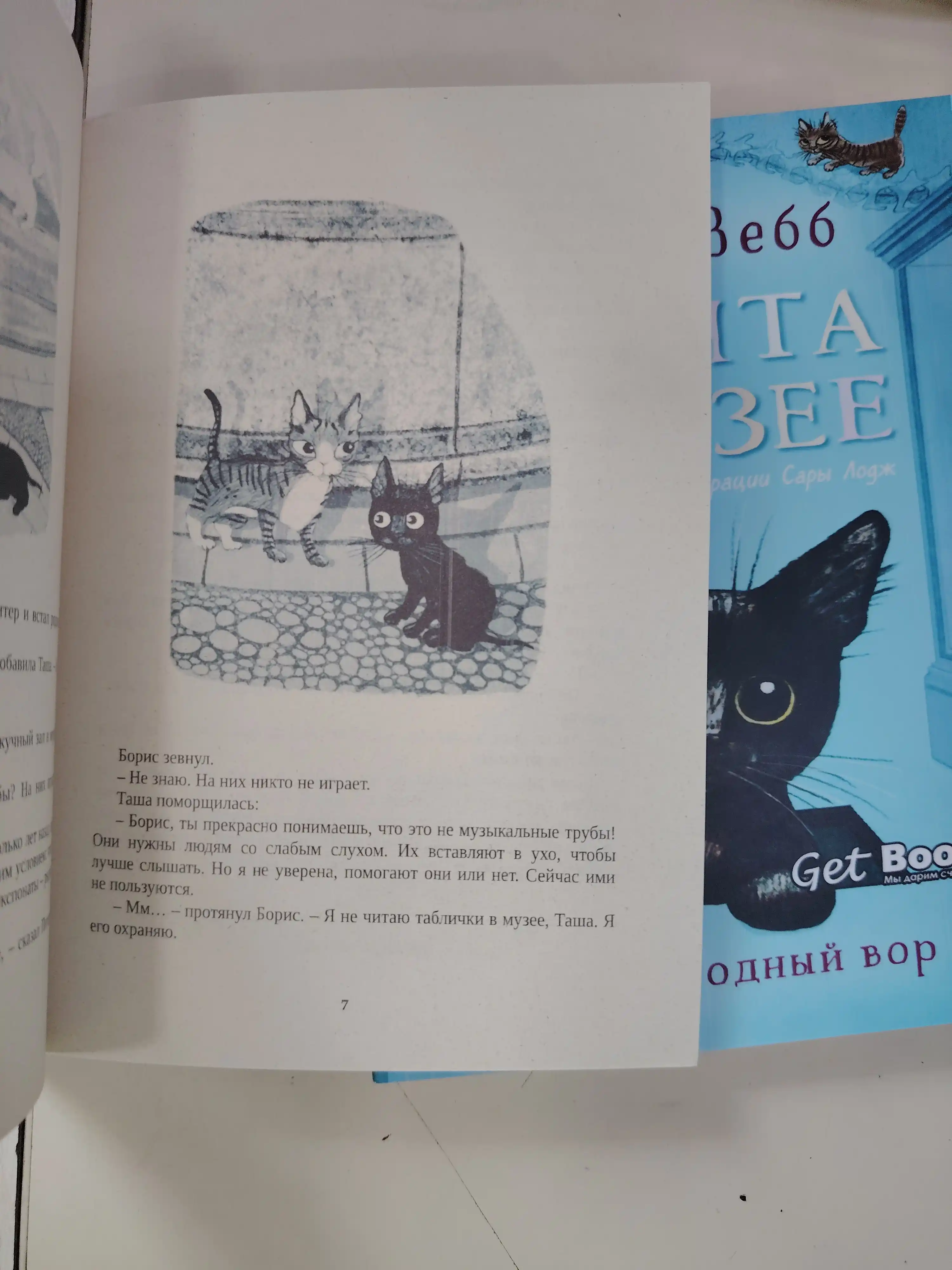 Комплект из 4-х книг Котята в музее Холли Вебб