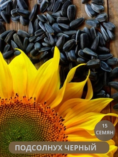 Черное стекло