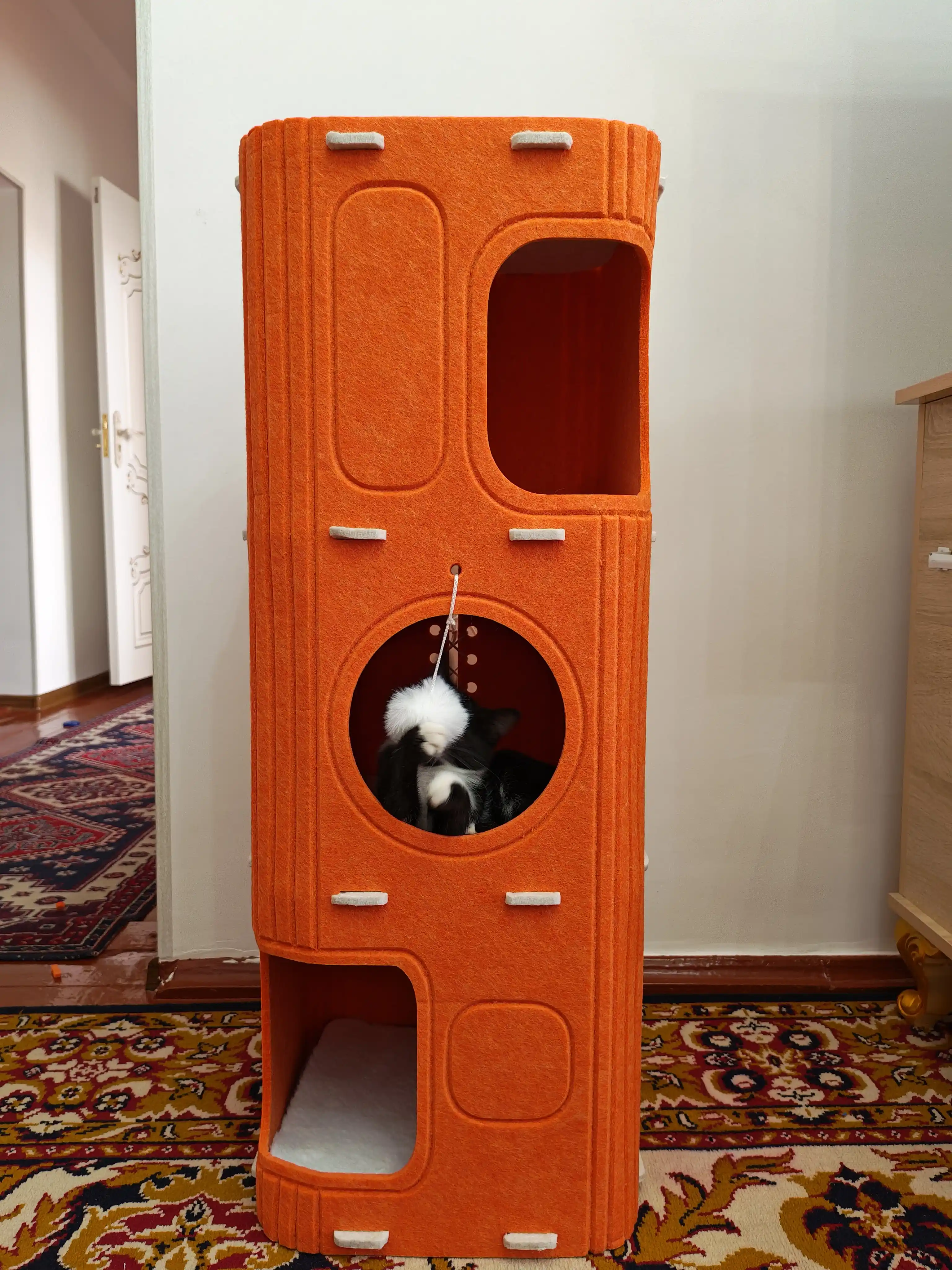 Кошачий дом