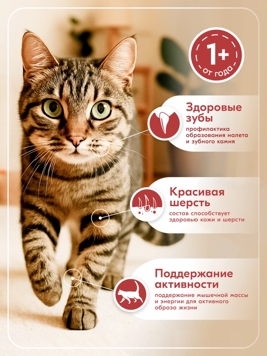 Lamour влажный корм для кошек, с говядиной в соусе, 75 гр 28 шт