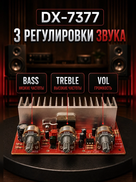 Стереоусилитель 2.0 для пассивных колонок, 12 В, DX-797AA / DX-7377 / DX7190