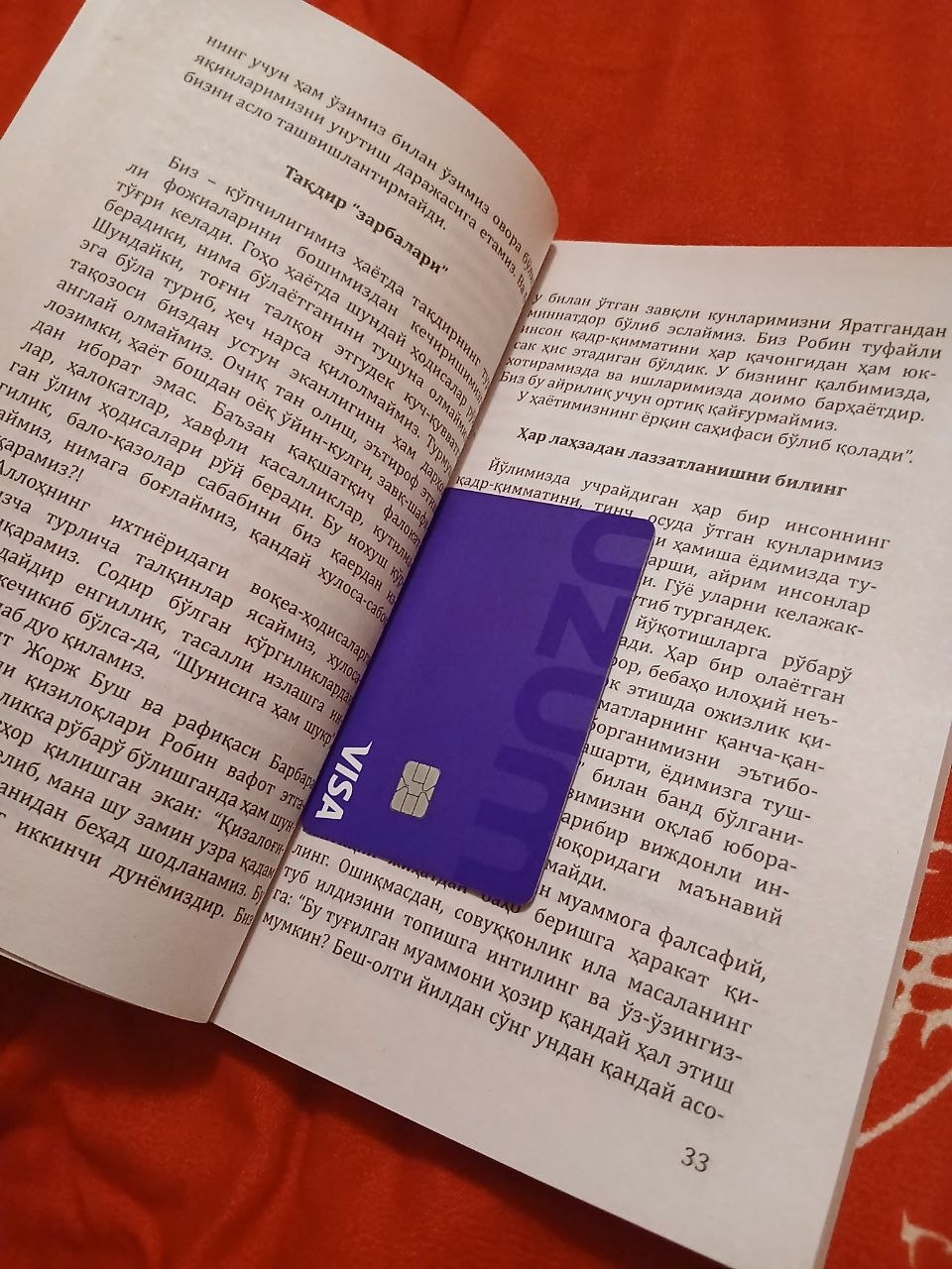 Ғолиблик қонуниятлари, Пул алифбоси, Мани лақабли кучукча — Бодо Шефер