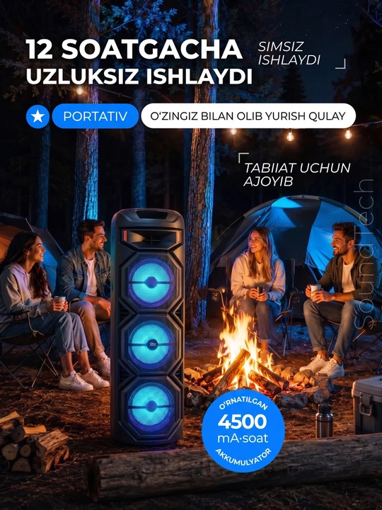 Katta simsiz kalonka, mikrofonli karaoke bluetooth kolonka, pultli portativ karnay