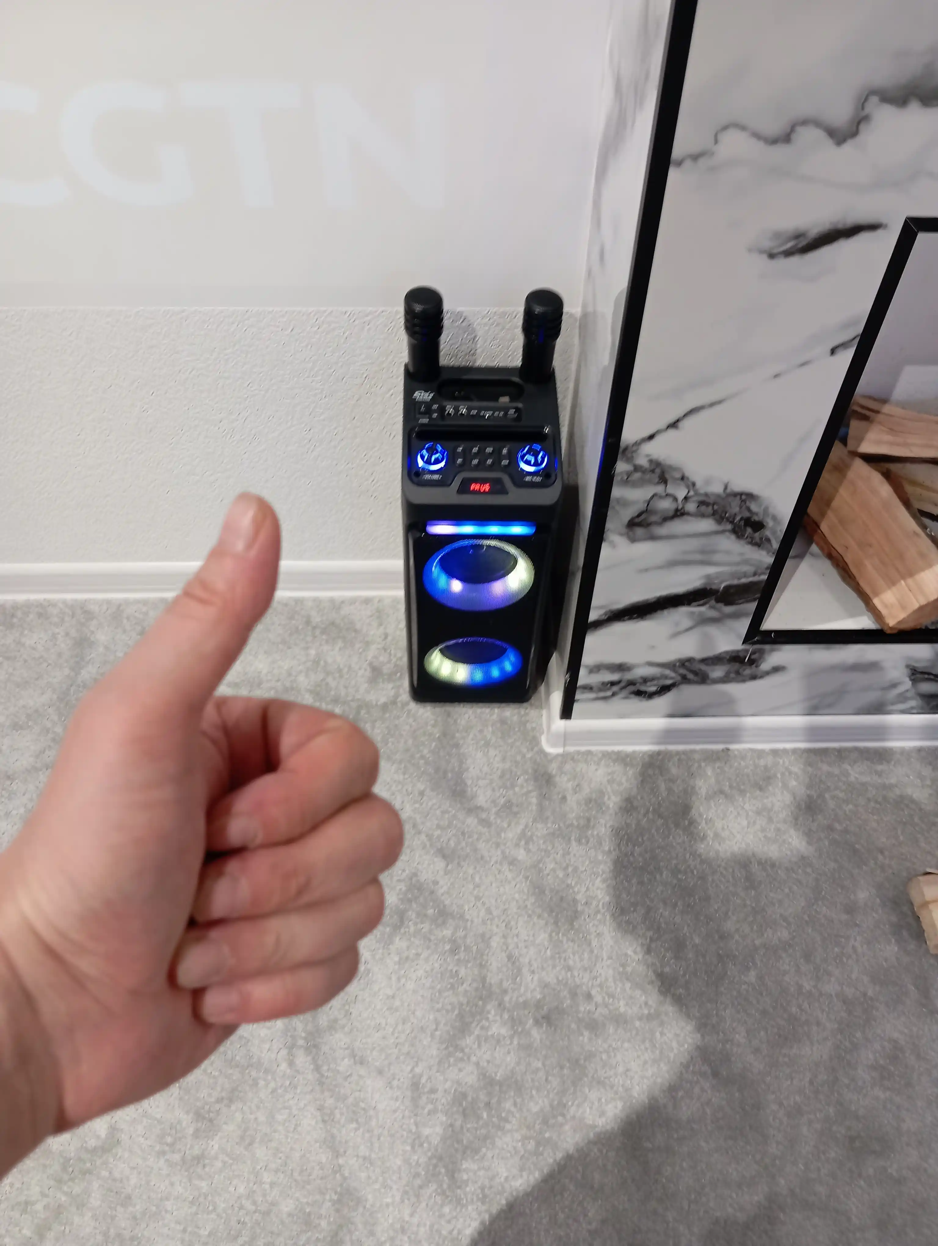 Katta simsiz kalonka Sing-e ZQS, kuchli bass, bluetooth, mikrofonli, karaoke, bayram uchun