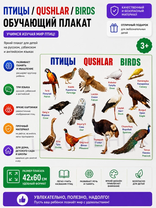 Bolalar uchun o‘quv plakat, rasmli alifbo, raqamlar, dunyo xaritasi, O‘zbekiston xaritasi - 