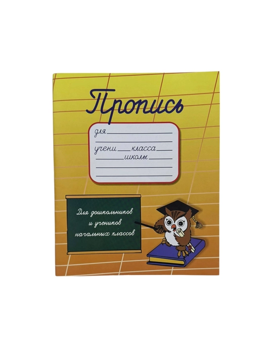 Рабочая тетрадь для детей Аскарова, математика 1 класс и прописи - 