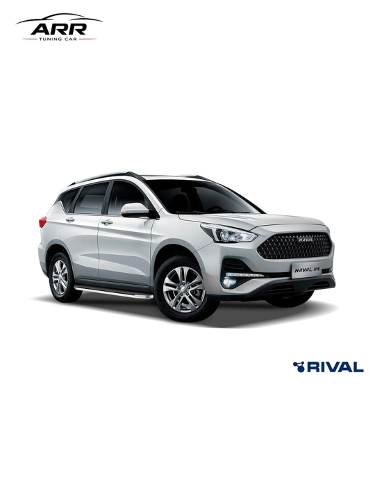 Haval Jolion, Haval M6 va Haval H6 uchun yon zinapoyalar (yon ostonalar)