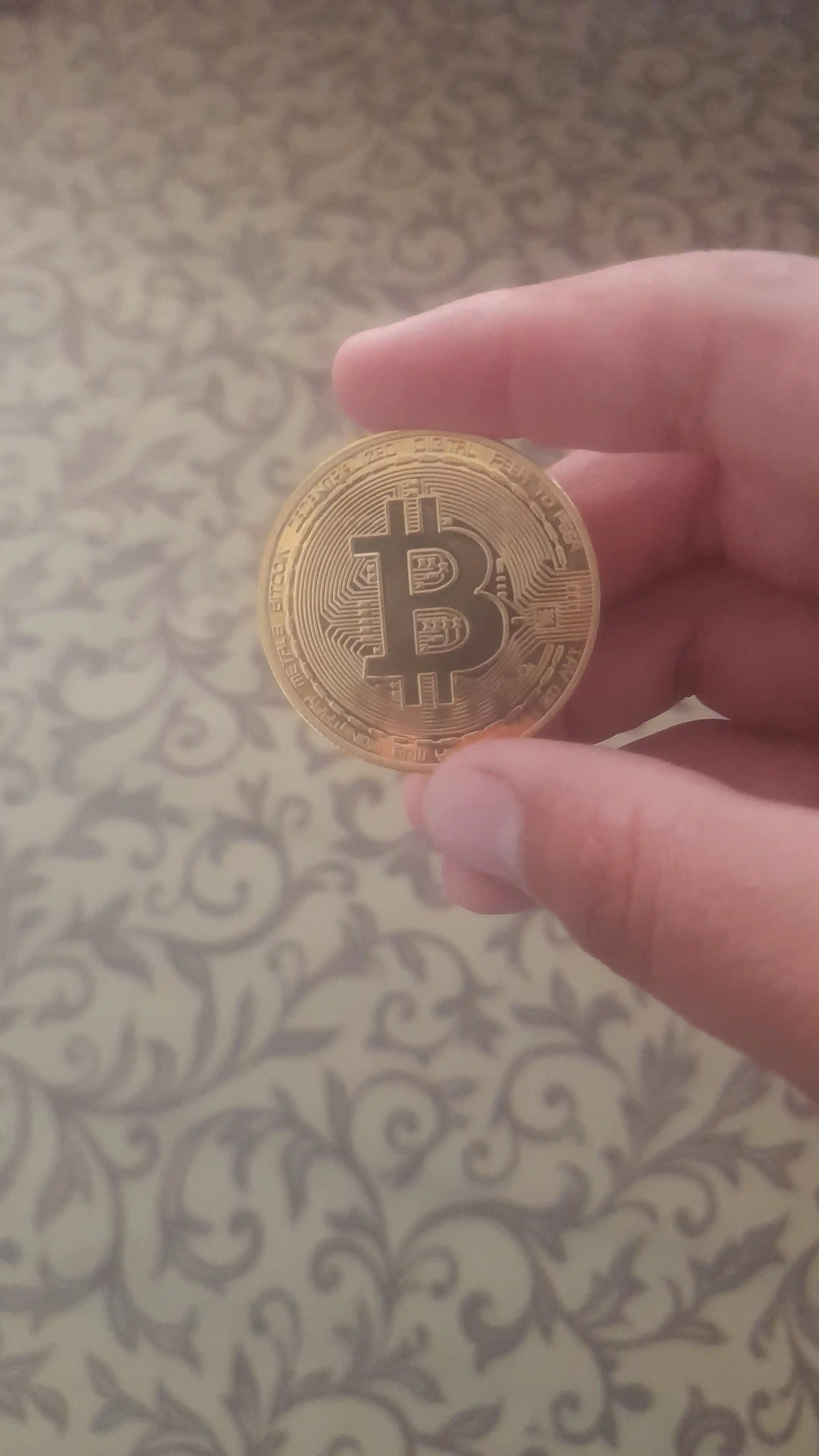 Bitcoin suvenir tangasi, kolleksiya uchun kriptovalyuta tangasi, plastik kapsulada