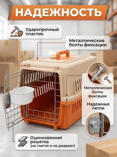 Оранжевый