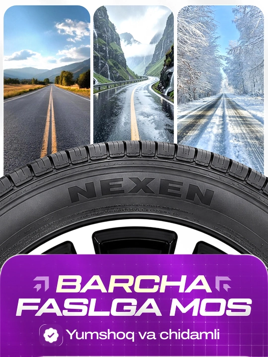 Nexen NPriz AH8 корейская автомобильная шина, мягкая и надежная, балон для всех 4 сезонов