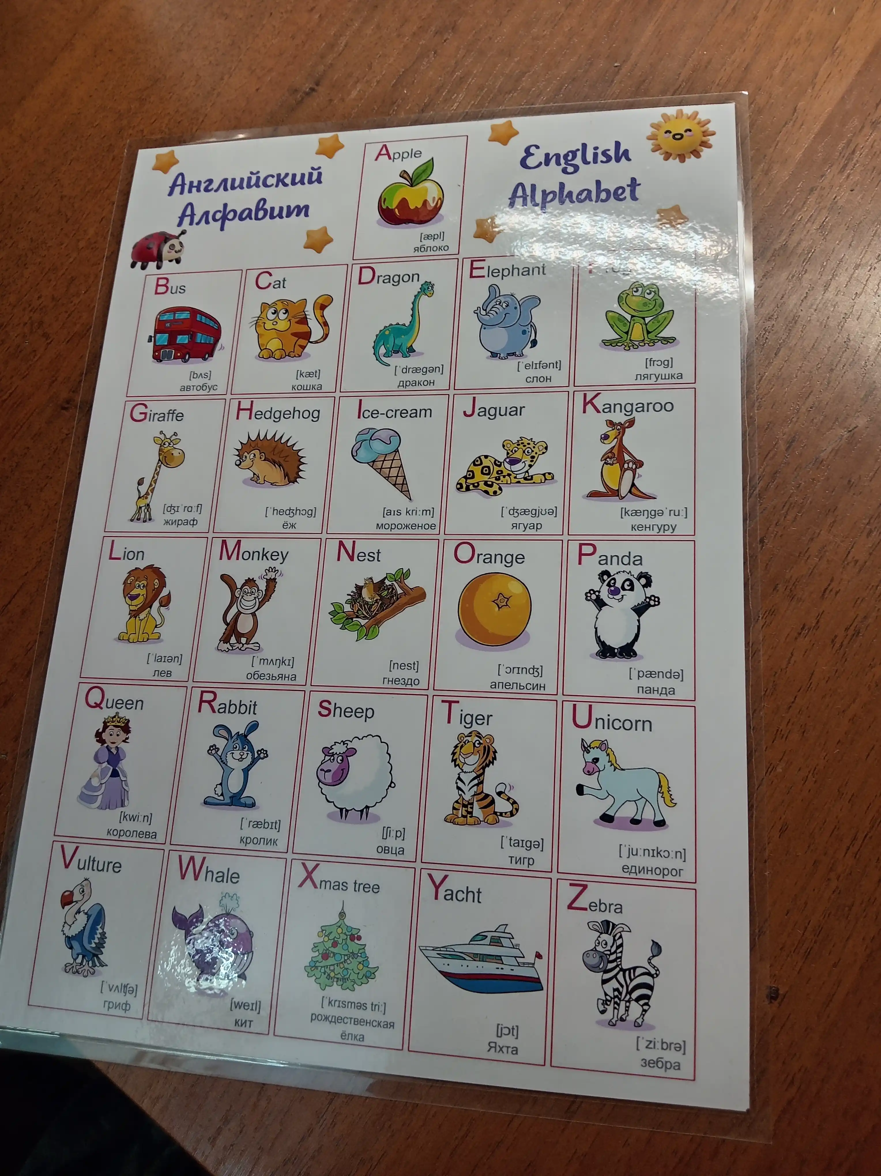 Bir varaqda 2 ta alifboning laminatsiyalangan plakati: o’zbek, rus, ingliz, arab