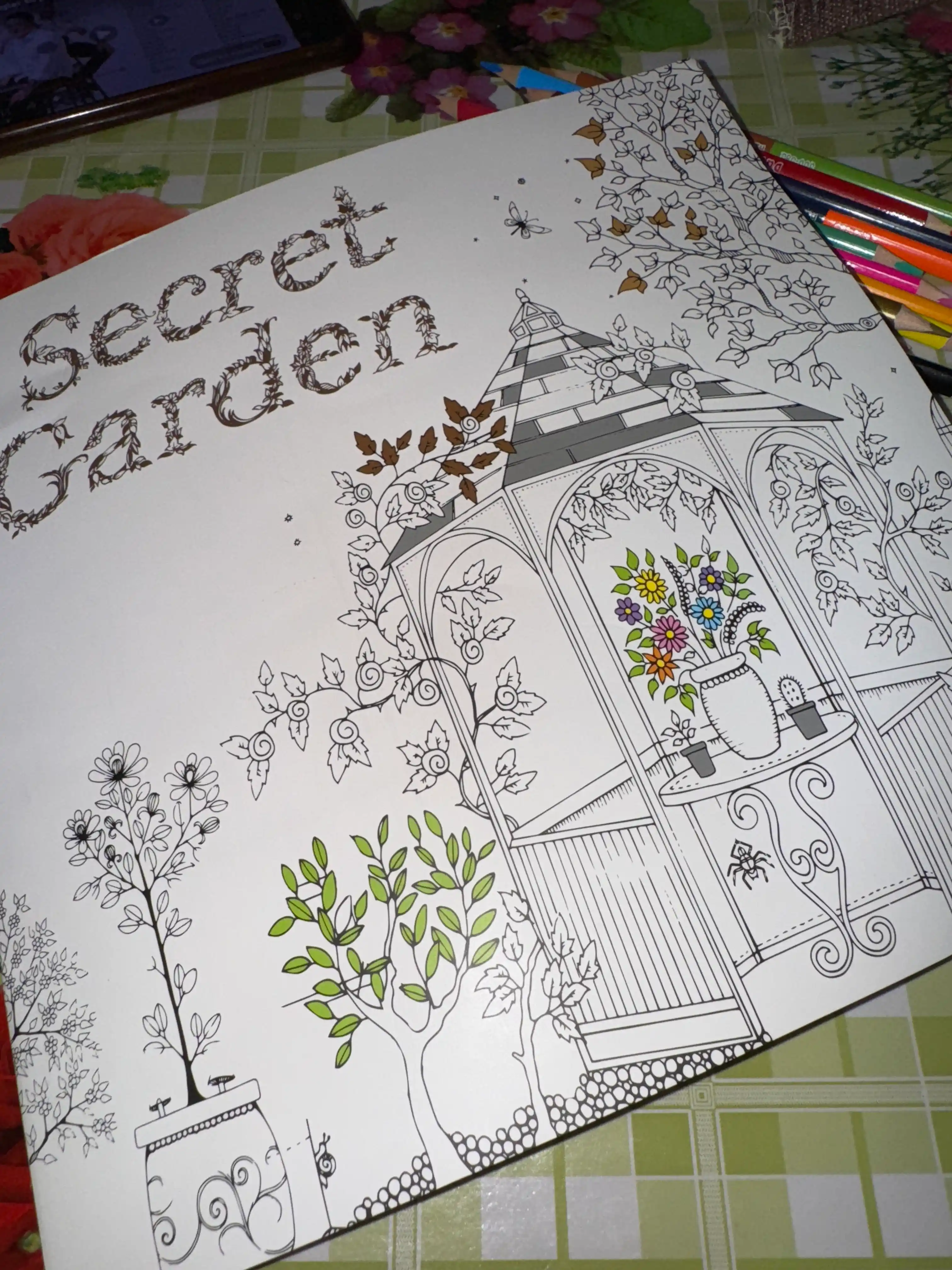 Dam olish va ijod uchun mo‘ljallangan "Secret Garden" badiiy bo‘yog‘i, katta bo‘yoqli, 250×250 mm