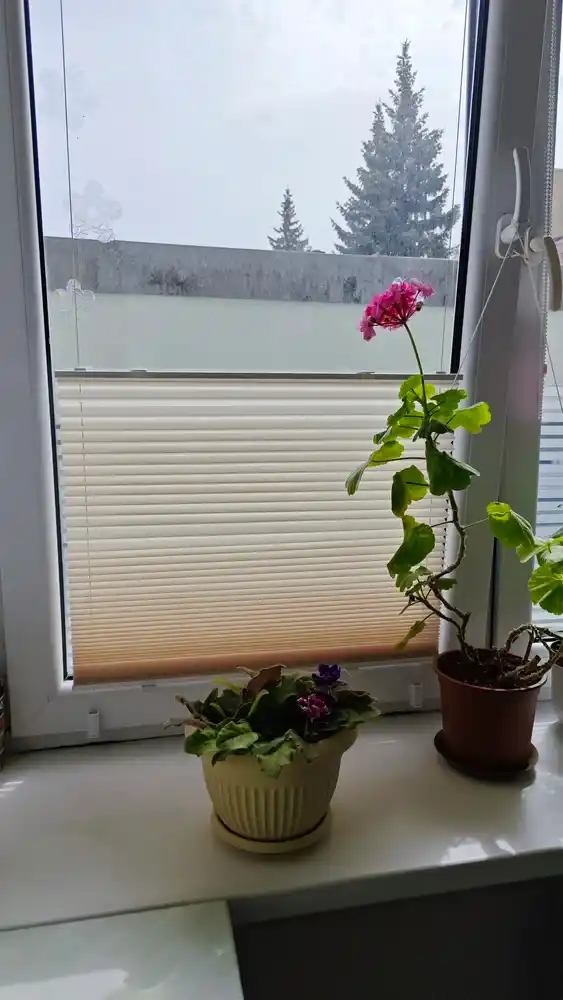 Pliseli pardalar, matoli, yopishqoq lenta bilan, deraza va balkonlar uchun, blackout
