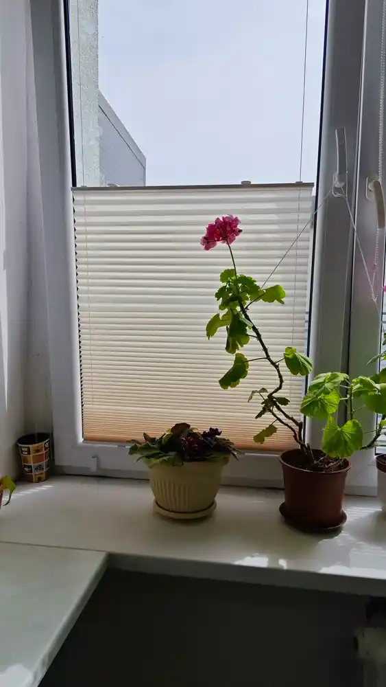 Pliseli pardalar, matoli, yopishqoq lenta bilan, deraza va balkonlar uchun, blackout