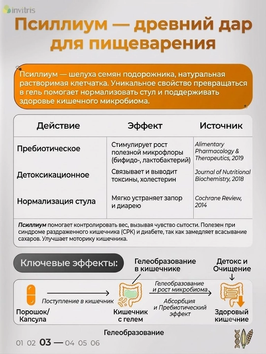 Псиллиум, 60 капсул, для пищеварения
