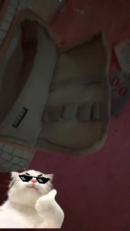 Qalam qutisi, kosmetik sumka, ko'p funktsiyali, ikki qavatli