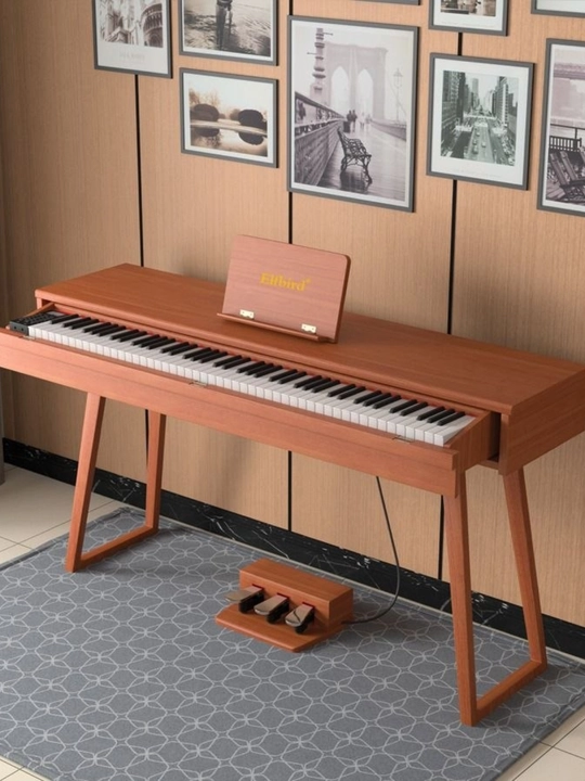 Цифровое электронное пианино Elfbird BL-8819 (с 3 педалями, деревянный корпус)  - 