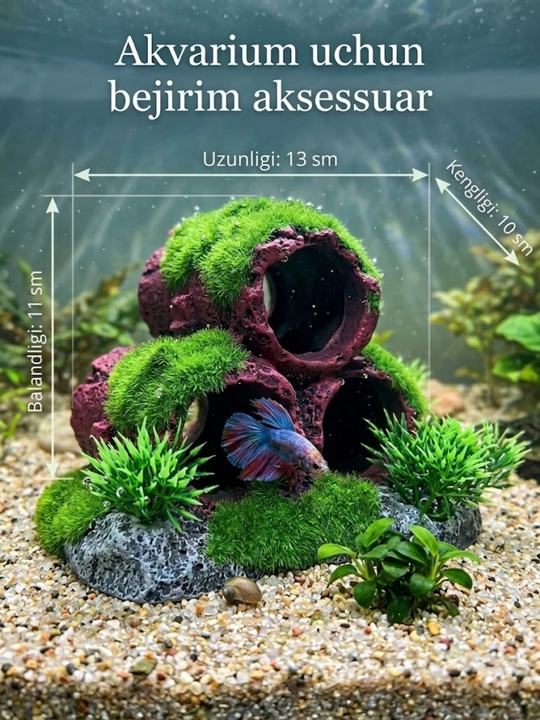 Akvarium Aksessuari – Baliqlaringiz Uchun Qulay va Chiroyli Muhit - 