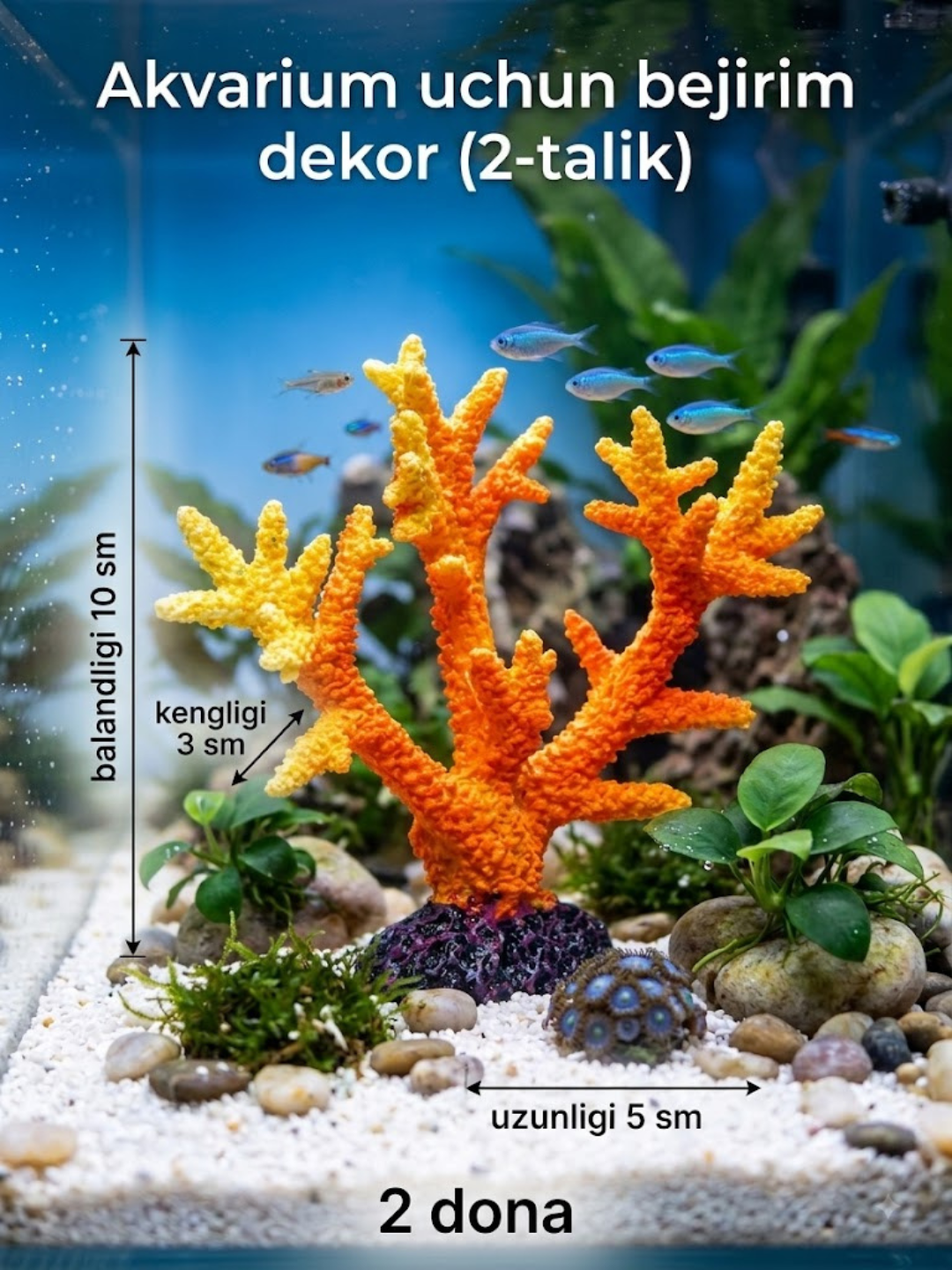 Akvarium Aksessuari – Baliqlaringiz Uchun Qulay va Chiroyli Muhit - 