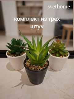 Laym
