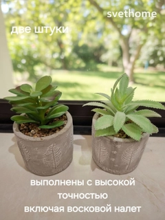 Sargʻish melanj