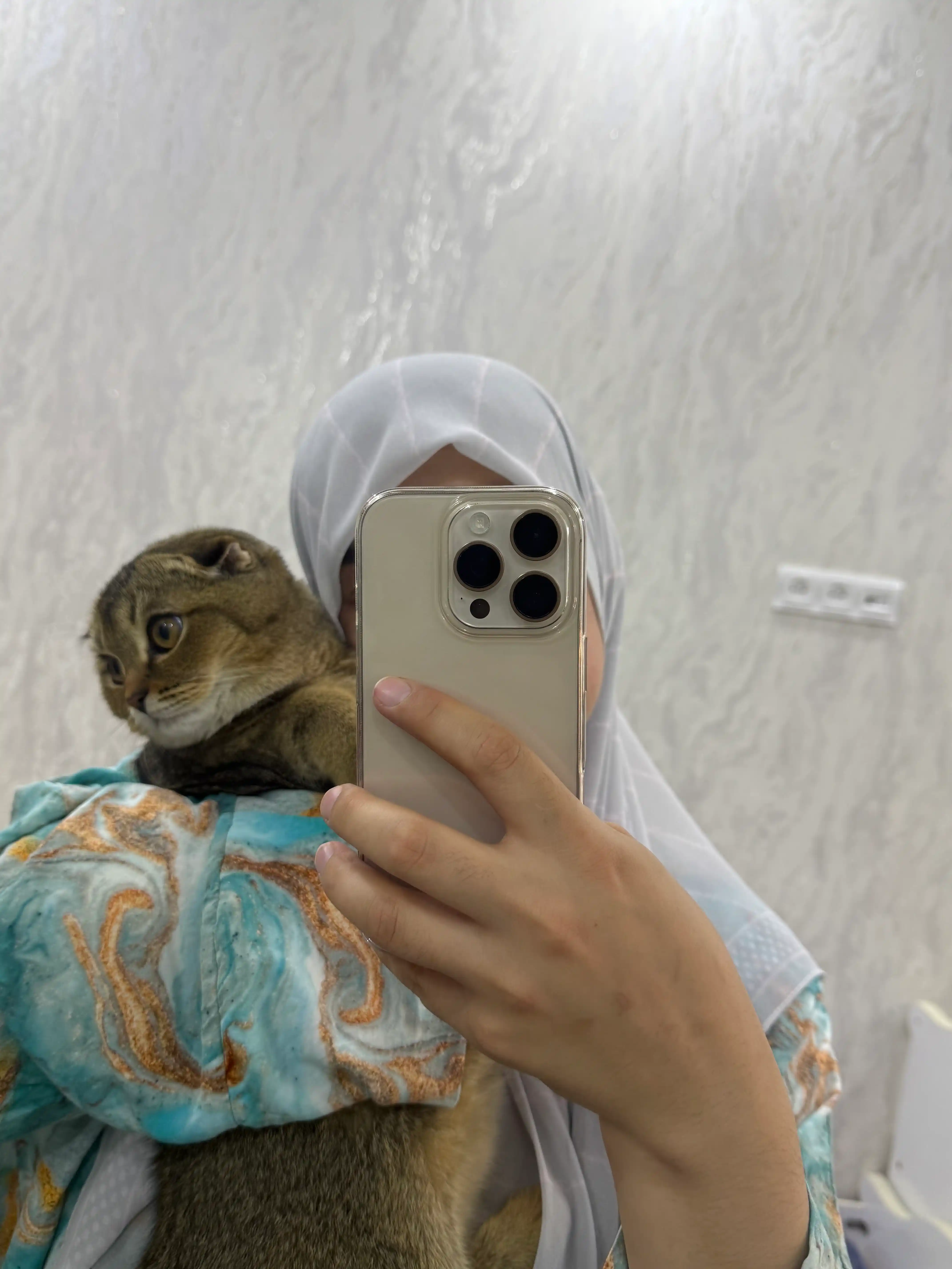 Club 4 Paws сухой корм для котят, с курицей, 2 кг