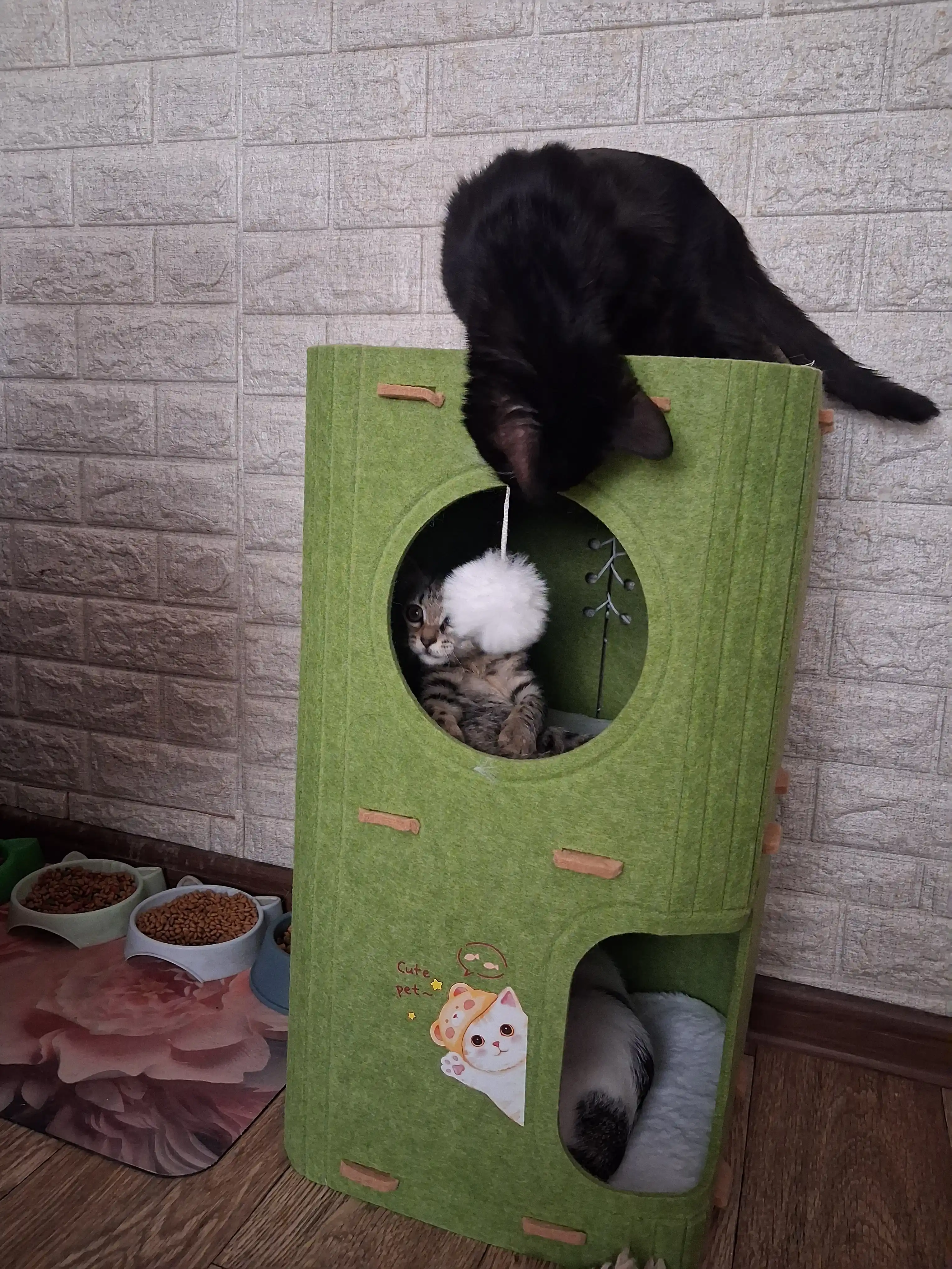 Кошачий дом
