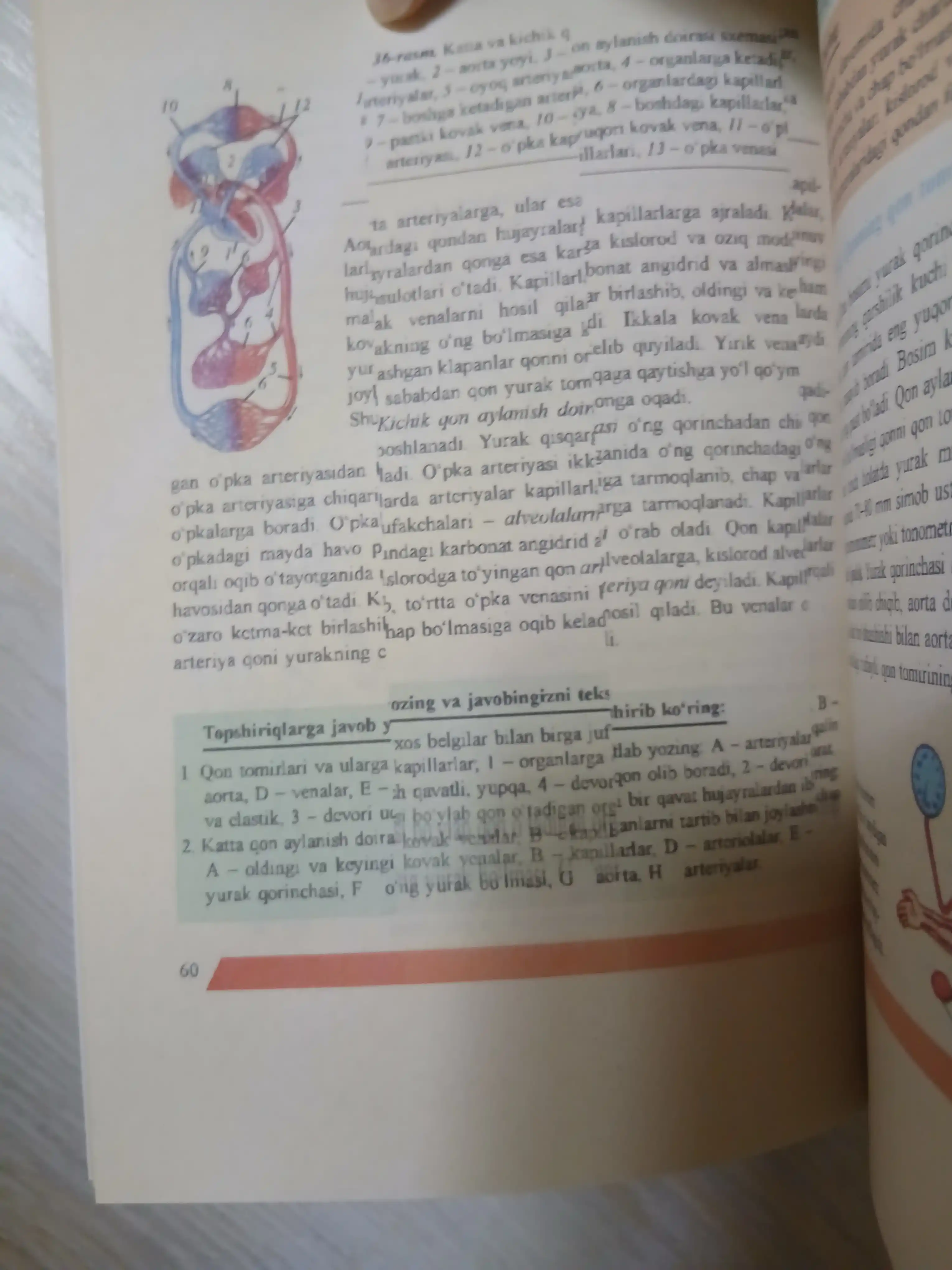 «Biologiya. 8-sinf».  (A5 format  rangli) o'zbek tilida