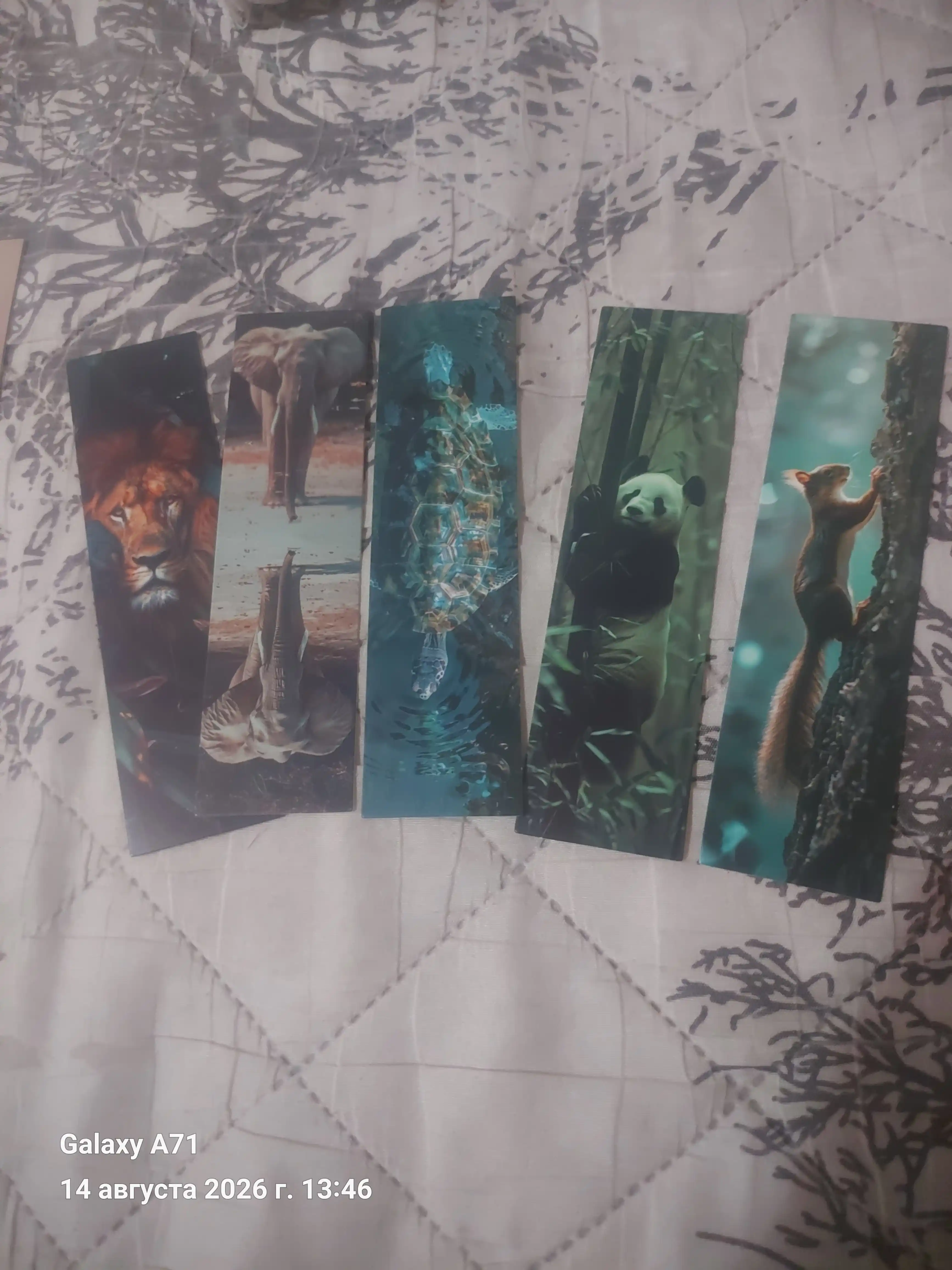 Kitob uchun karton xatcho'plar, 5 dona to‘plam, tasodifiy tanlanadi, 4x15 sm