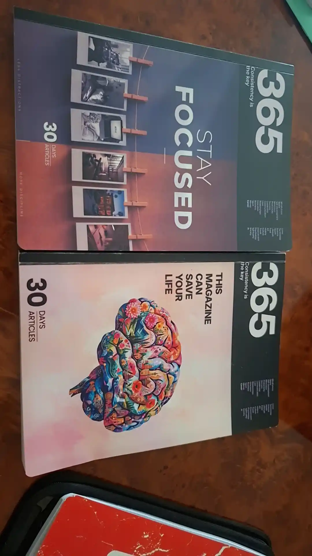 365 Magazine - Brain - ARTICLE BOOK