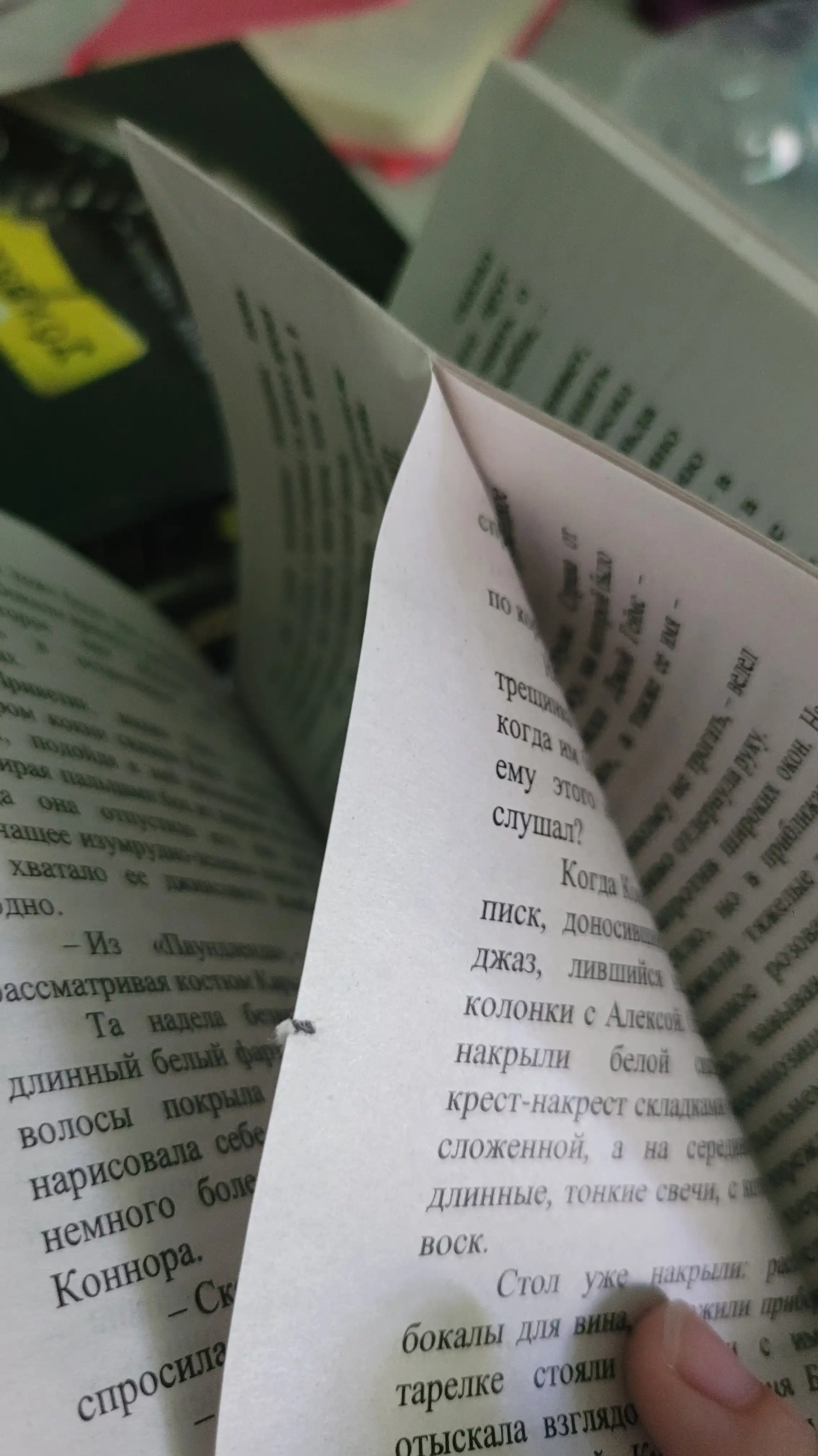 Хороших девочек не убивают, Хорошая девочка, дурная кровь Холли Джексон