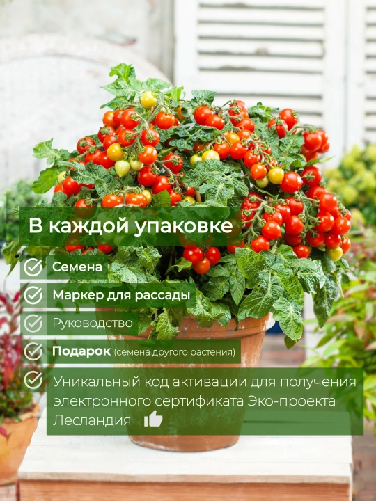 Mini-Light balkon-xona pomidorlari, urug‘lar, 20 dona, sabzavot urug‘lari