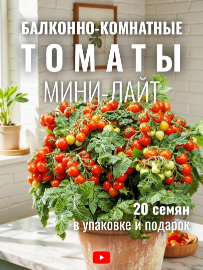 Mini-Light balkon-xona pomidorlari, urug‘lar, 20 dona, sabzavot urug‘lari - 