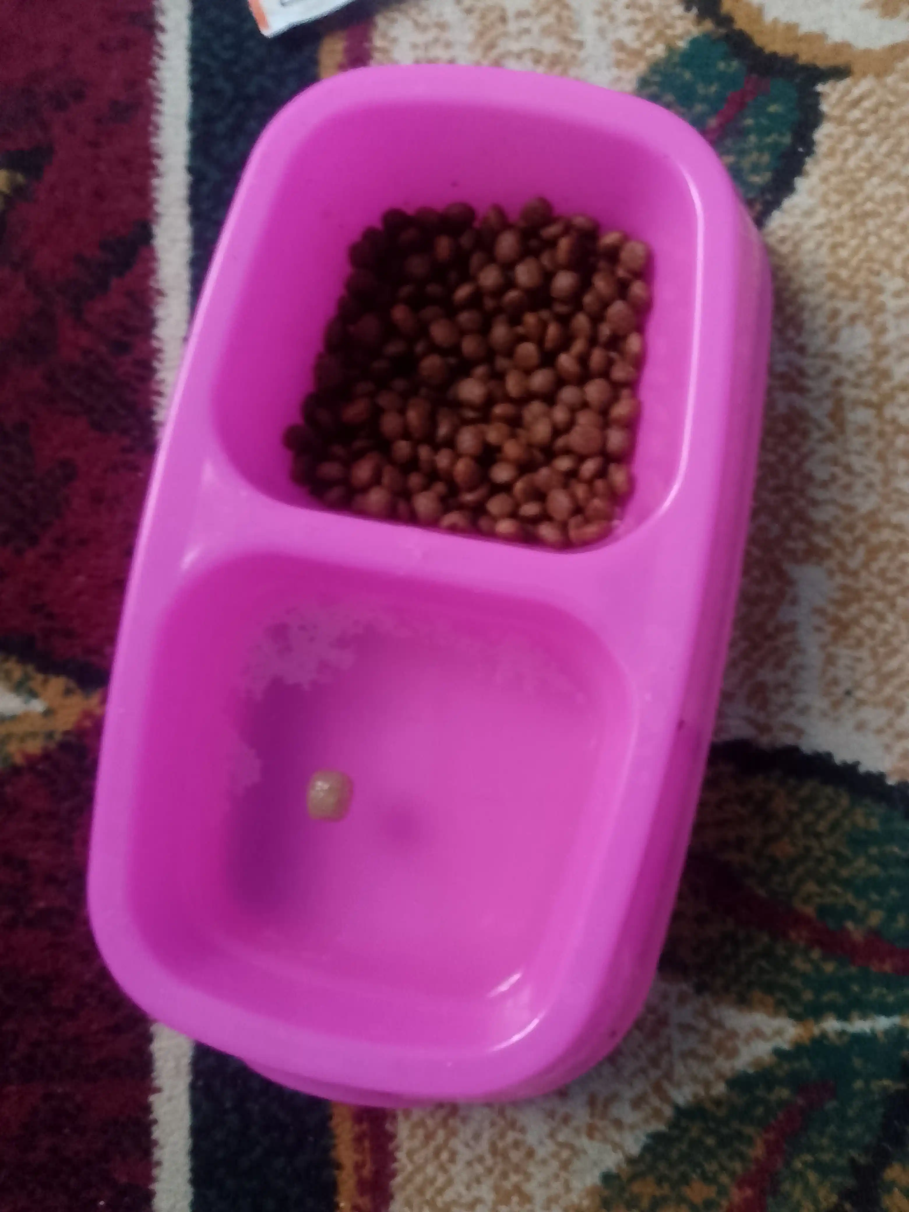 Mushuk va itlar uchun katta ikkitalik ovqat idishi, miska, 27 x 16.5 x 6.5 sm