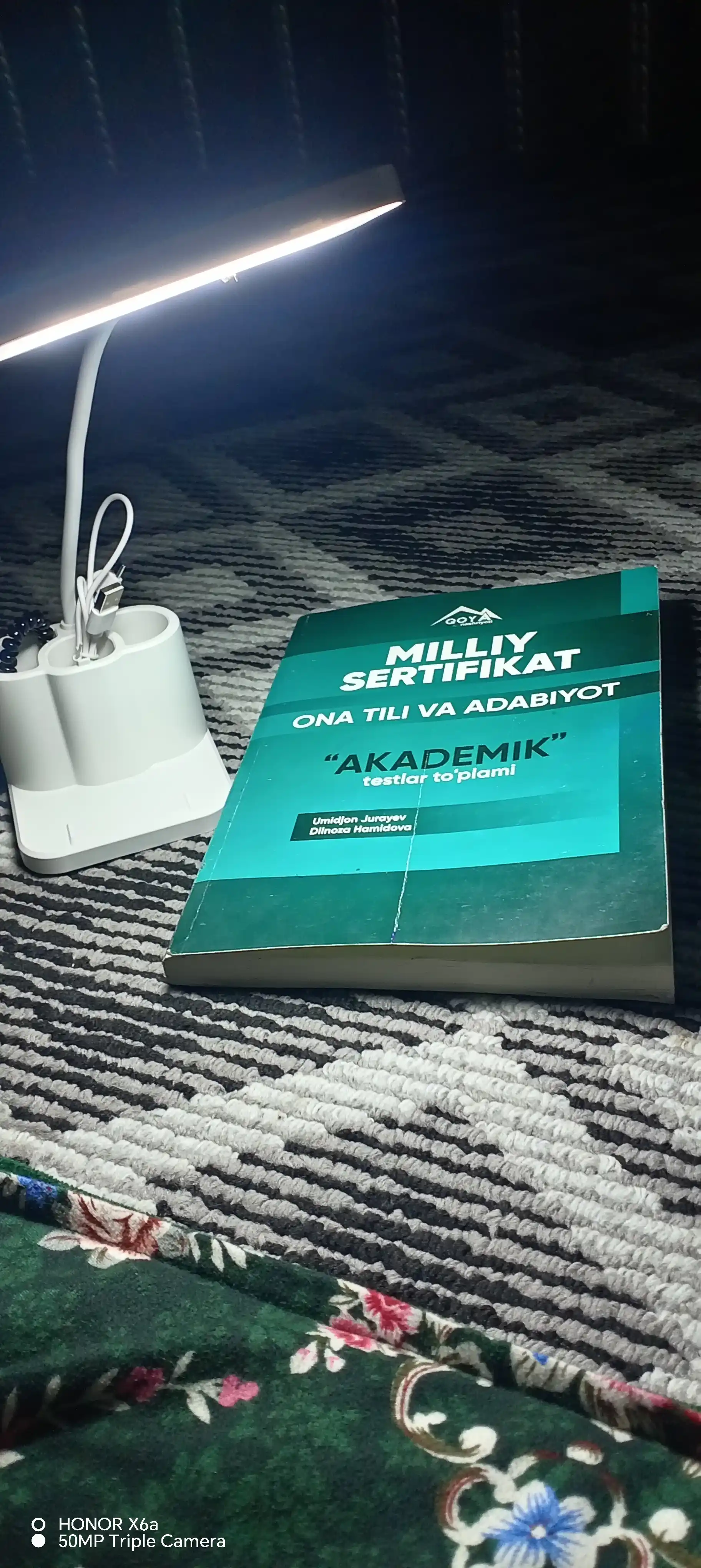LED svetilnik qo‘shimcha penali bilan – energiya tejamkor, yorqin yoritish funksiyasi