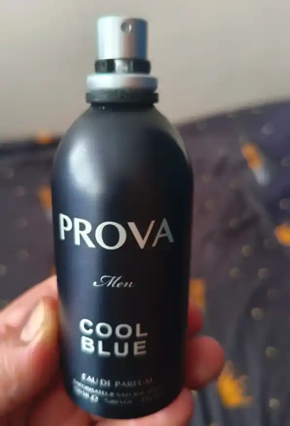 Erkaklar uchun turg’un parfyumlar Bleu De Chanel 120 ml