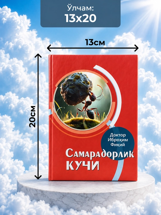 Самарадорлик Кучи — Доктор Иброхим Фикий - 